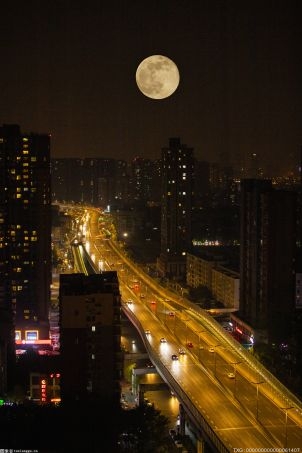 西站南路南延、鳳凰嘴街開(kāi)放通行 南區(qū)交通路網(wǎng)基本成型