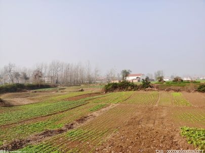 歐盟正加速制定計(jì)劃助力烏克蘭通過(guò)陸路運(yùn)出農(nóng)產(chǎn)品